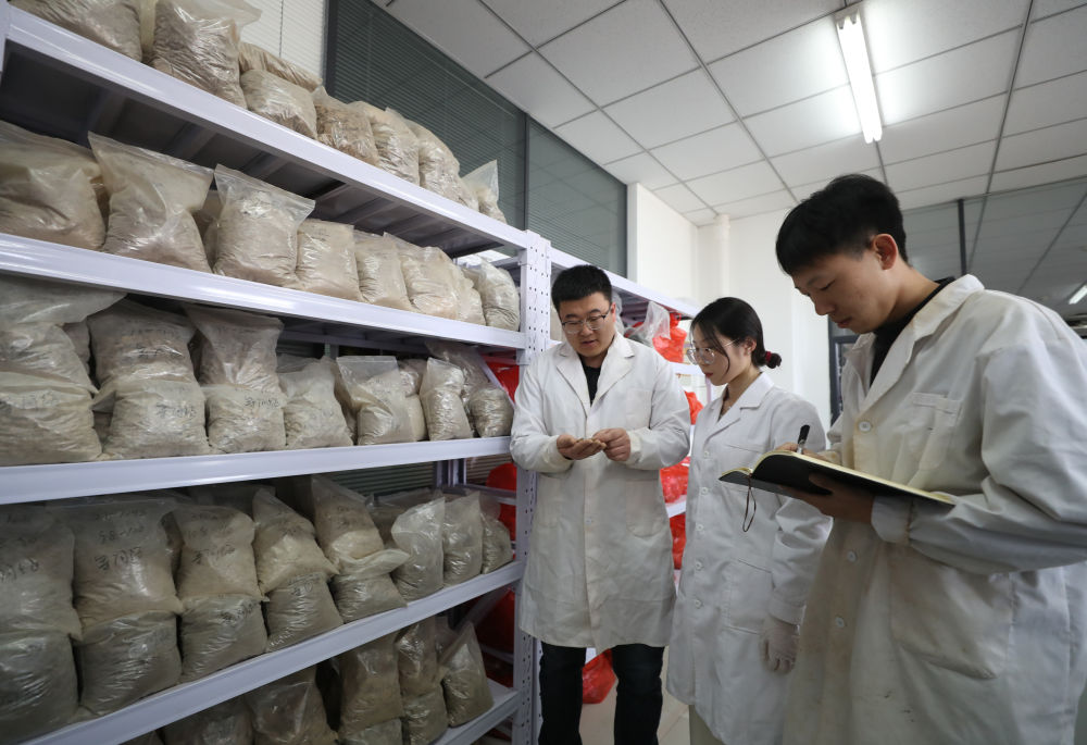 新华全媒＋丨探访91视频
土肥高效利用国家工程研究中心