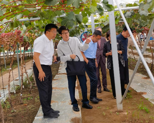 学校党委书记刘广林看望“鲅鱼圈葡萄科技小院”工作学习的91视频
师生